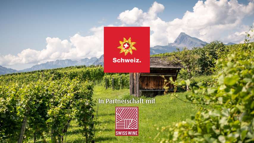 Unterkünfte in den Weinbergen gesucht