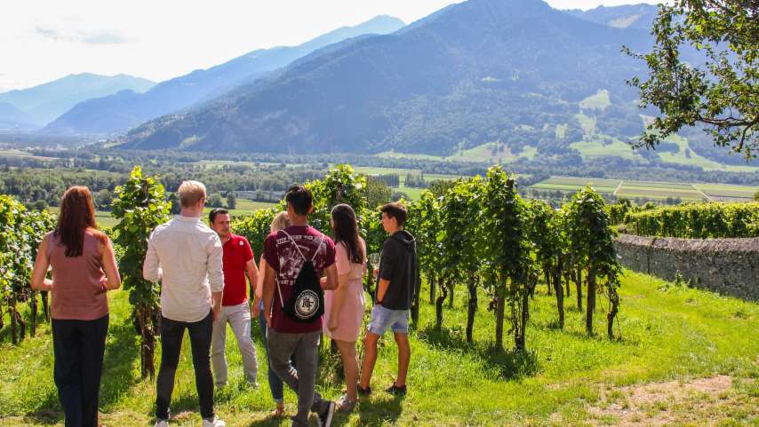 Swiss Wine Tour