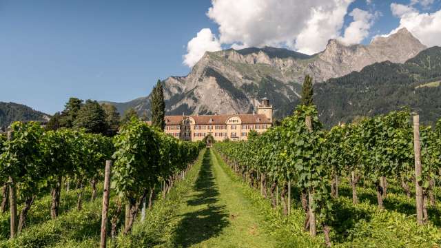 Tourismuskreis Bündner Herrschaft/Fünf Dörfer